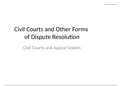 civil court and other disputes of resolution