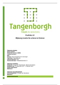 Portfolio U1 Stage Zorggroep Tangenborgh - Wijkzorg
