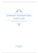 Summarize Public international law working groups