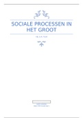 Sociale processen in het groot H2, H3, H4, H7, H8 