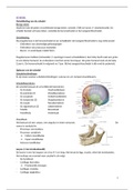 Samenvatting EM KT 2 - anatomie
