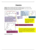 biochemistry option of chemistry