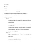 assignment 6.pdf
