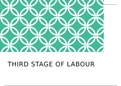 Physiology and Midwifery Care in the Third Stage of Labour