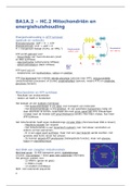 BA1A.2 – HC.2 Mitochondriën en energiehuishouding