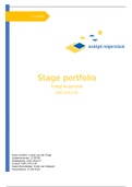 Stage portfolio leerjaar 3 PL3