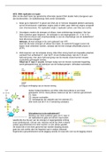 Hoorcollege DNA replictaie en repair (18/19)