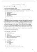 Aantekeningen Hoorcolleges - Vertellen en Verbeelden (Lecture Notes Media Performance Studies)