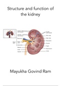 Structure and function of the kidney