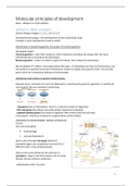 Molecular principles of development summary 1-6