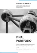 Final Portfolio Public Affairs Project