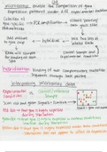Cell Biology and Physiology (BSCI330) Ch. 8 Notes