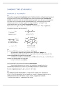 Samenvatting scheikunde  Chemie H15,16 en 17 VWO6