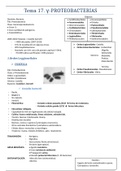 Tema 17 Microbiología
