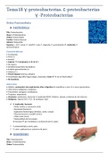 Tema 18 Microbiología