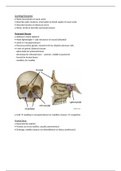 Anatomy - Nasal Cavity and Paranasal Air Sinuses