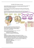 Uitgebreide Hoorcollege-aantekeningen (HC1 t/m HC16) Brain and Behavior/Hersenen en gedrag (2018). 