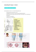 Anatomie, fysiologie, pathologie Leerjaar 1 - Periode 2