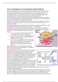 HCO14, toxicologie en reproductief systeem