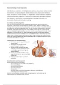 H15.1 (functies en onderdelen), 15.2 (luchtgeleidende deel: neus, farynx, larynx, trachea, bronchiën en bronchiolen), 15.3 (gaswisselingsdeel: ductuli alveolares, alveoli, respiratorische membraan, longen, 15.4 (externe / interne respiratie), 15.5 (longve