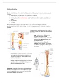 Samenvatting anatomie, fysiologie en pathologie van het beenderstelsel