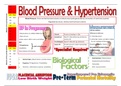 Hypertension, Pre-Eclampsia, Eclampsia