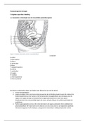 Gynaecologische chirurgie Hoofdstuk 1, 4 en 6 paragraaf 6.1 en 6.2