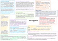 Edexcel New Testament A-Level 5.2 - Conflict with Authority Mindmap