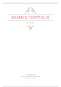 Examen Portfolio Social Work/ SPH