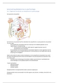 Samenvatting metabolisme en spierfysiologie 18-19