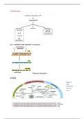 Moleculaire biologie Theorie aantekeningen TLSC-Molbio3V-16