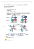 Ch. 7 Major histocompatibility complex (MHC) & Antigen Presenting 