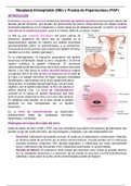 Neoplasia intraepitelial (NIE) y prueba de papanicolau (PAP)