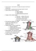 ***MOST IMPORTANT NOTES FROM AXILLA, LUMPS, NECK and UPPER LIMB!!