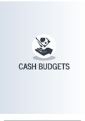 Cash Budget ieb Notes