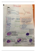 Anatomy & Physiology: Handwritten Notes on Blood Composition