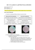 Biology 1414 Lab Practical #2 Review with Practice Questions (Lab #5-7)