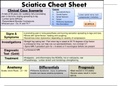 Sciatica - Summary of key points