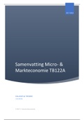 Samenvatting Micro en Markteconomie