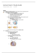 Microbiology Lecture Exam 2 Study Guide (RNA Viruses & DNA Viruses)