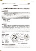 Life cycle of Entamoeba hystolitica