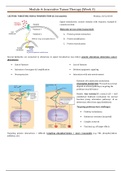 Lecture Notes - Innovative Tumor Therapies - week 3