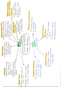 WJEC A level Geography Changing Places mindmaps