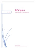 BPV-plan stage leerjaar 3 SIV-samenwerken in vakmanschap OWE9&10