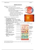 Disorders of Retina