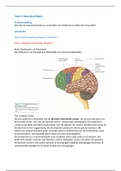 GGZ2027. Uitwerking taken blok 3: Neuropsychologische stoornissen