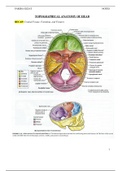 Topographical Anatomy of Head