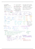 Biochemistry Condensed Notes Bundle