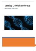 Verslag DNA Practicum gelelektroforese 