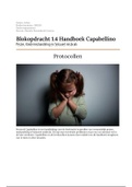 Blokopdracht 1.4 Handboek Capabellino Pesten, Kindermishandeling en Seksueel misbruik 